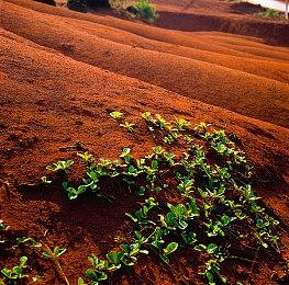 《模拟火车世界3》发售预告 Steam评价“特别好评”