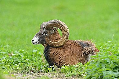 索尼高管坚称《马拉松》不会成为下一个《星鸣特攻》